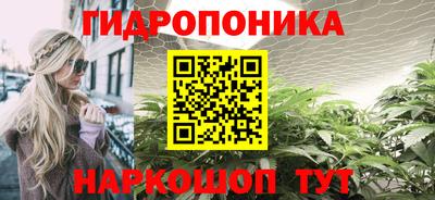 винт Сланцы
