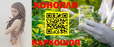 винт Сланцы