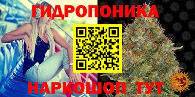 винт Сланцы