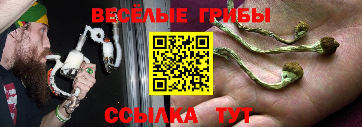 Лесосибирск  Галлюциногенные грибы мухоморы  Вход с VPN 
